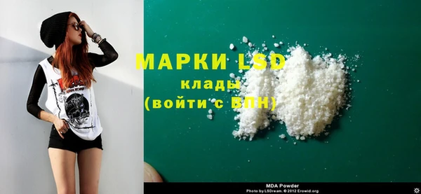прущие грибы Елабуга