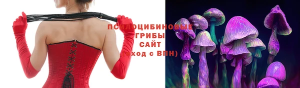 стаф Елизово