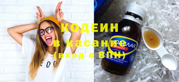 прущие грибы Елабуга