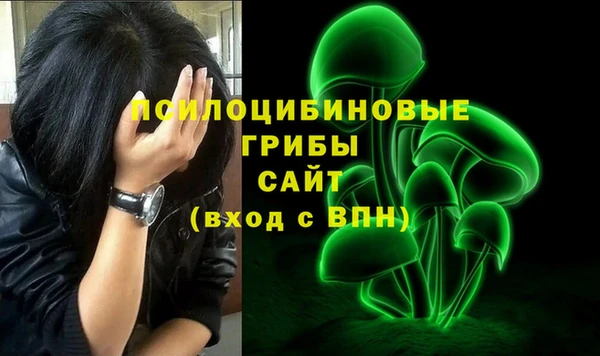 mdpv Заводоуковск