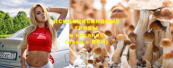 меф Заволжск